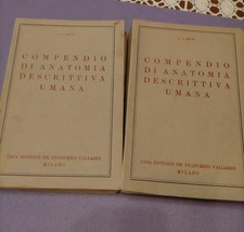 Antica coppia libri - coppia,