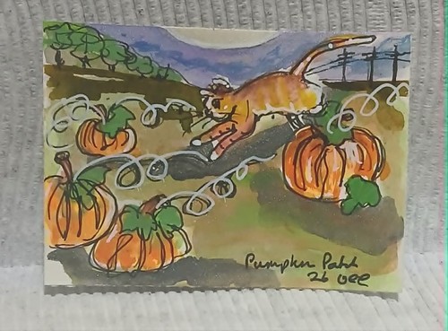 Ooak aceo toppa zucca - toppa,