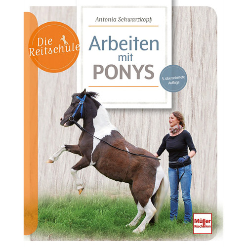 Lavorare con pony la scuola - lavorare,