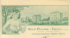 Fattura int. GIULIO PUECHER - Trento. Import export Agrumi e Frutta. Trento 1904