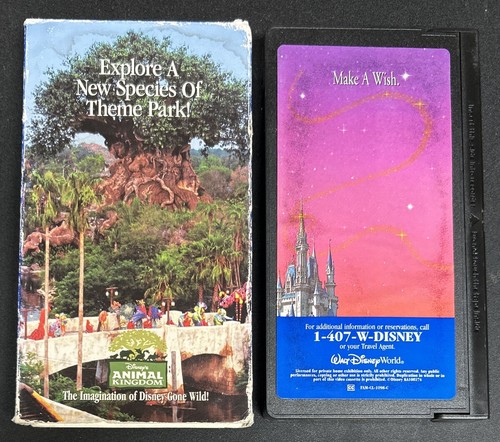 Walt disney world - walt,