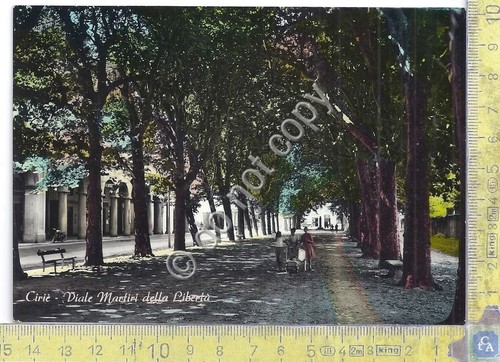 Cartolina postcard ciriè - postcard,
