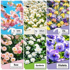12pcs profuma armadio - 12pcs,