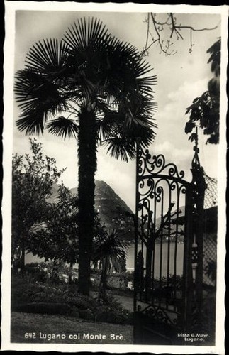 Cartoline epoca lugano - 10,