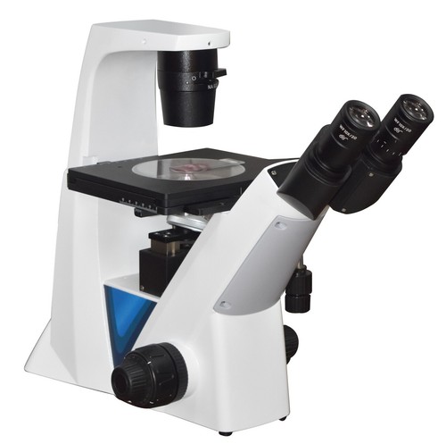 Invertiti medico biologia - medico,