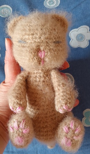 Gattino gatto cat kitten - gattino,