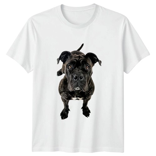 Shirt cane corso - t-shirt,