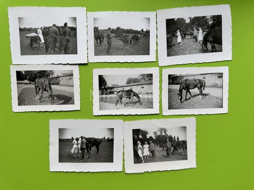 Foto sorelle croce rossa - 8,