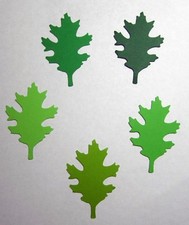 FOGLIE DI QUERCIA Set 60 pezzi