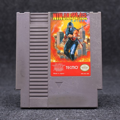 Ninja gaiden solo - ninja,