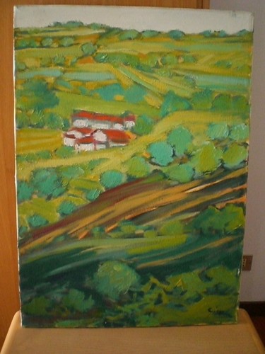 Quadro olio tela 50x70 - olio, su