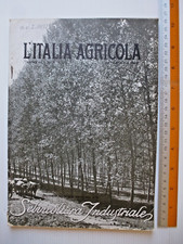 L'ITALIA AGRICOLA 15/5/1924