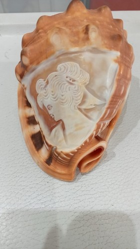 Conchiglia intagliata antica - intagliata,