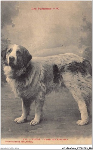 Ailp6 0575 cane - -, viscos