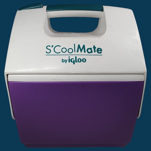 Mini cooler vintage cool - mini,
