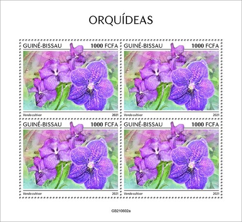 Orchidee