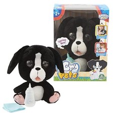 Emotion Pets Cry Pets Cane che