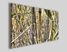 Quadri bamboo art 100 stampe fiori natura