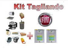 OIL CUTTING KIT SELENIA WR