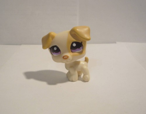 Littlest pet shop - shop, russell