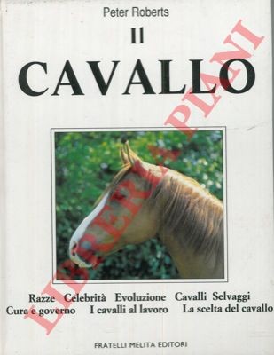 Ippica roberts il cavallo - -, cavallo.