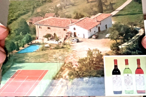 Cartolina azienda vitivinicola - azienda,