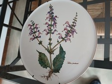 Piatto In Vetro Porcellana Villeroy & Boch - Ottimo - Salvia Pratensis