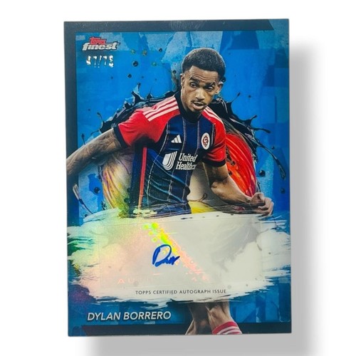 Dylan borrero auto topps - dylan,
