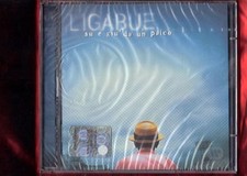 LIGABUE-SU E GIU DA UN PALCO