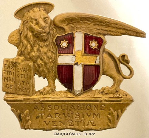 Associazione tarvisium - associazione,