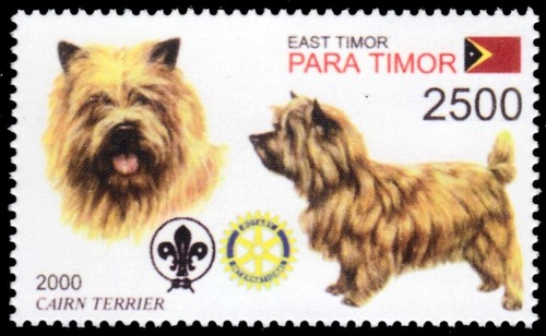 Timor leste 2001r - 2001r, cani