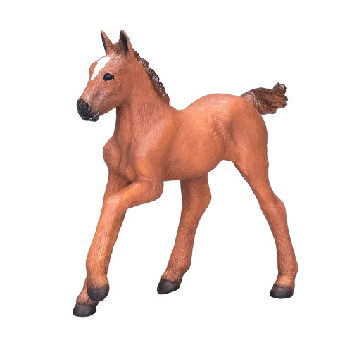 Mojo horse world puledro arabo - mojo,