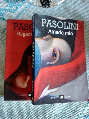 Pasolini amado mio - pasolini,