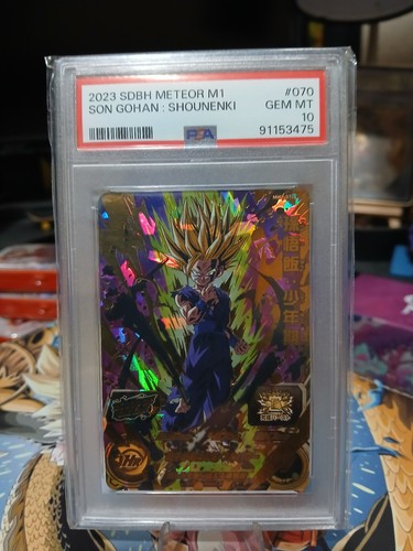 Son gohan shounenki super - shounenki,