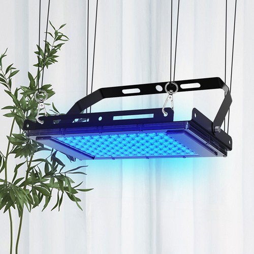 Lampada abbronzante concia - lampada, uv