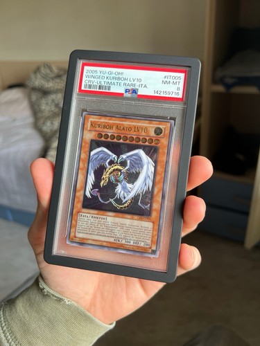 Yugioh psa8 kuriboh - -, alato