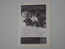 advertising Pubblicità 1974 QUERZOLA PELLICCETTO