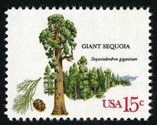 12x Francobolli GIGANTI