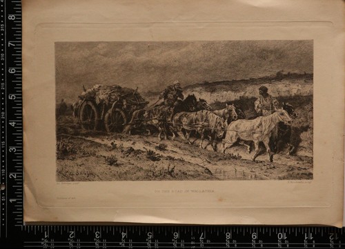 C1850 antico stampa the - c1850,