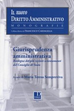Giurisprudenza amministrativa
