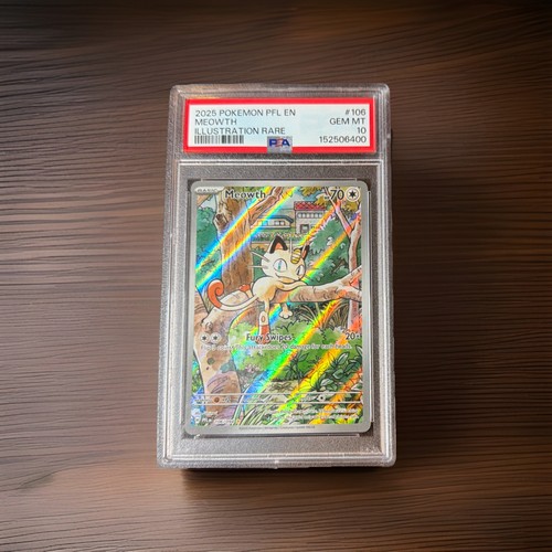 2025 pokemon pfl fiamme - en,