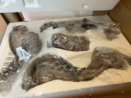 Borsari prehistoric dinosaur - prehistoric,