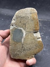 Minerali septaria panaro - minerali,