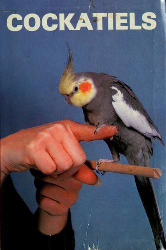 Cockatiels tartak laura - laura, m