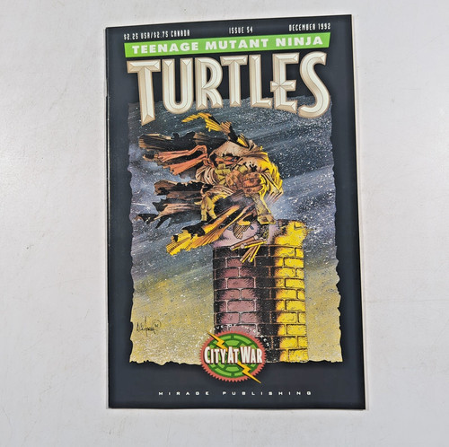 Teenage mutant ninja - teenage,