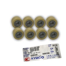 KIT 8 RULLI VARIATORE