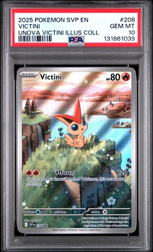 Pokemon collezione - pokemon,