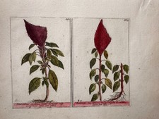 Piatto originale XIX secolo