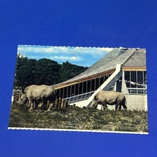METRO TORONTO ZOO WHITE RHINOCEROS CARTOLINA A COLORI