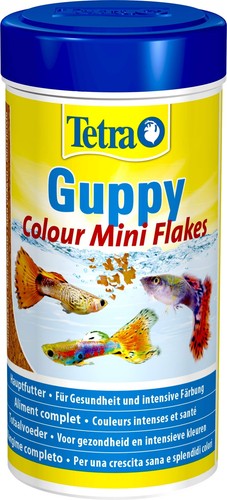 Tetra guppy colour mangime - tetra,